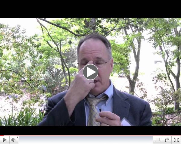 The Search for a Cure: Charles DeCarli, M.D.