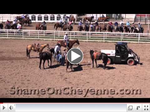 Another Calf Victim of the 2012 Cheyenne Rodeo