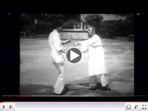 Tai Chi Push Hands Play with Masters