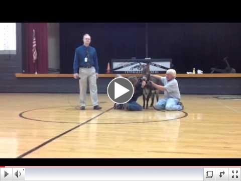 Mr. Matlick Kisses A Donkey