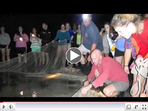 Dickinson Global Scholars- Australia 2012