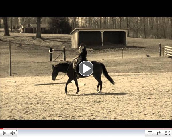 Susan Klaudt Horse Ministry - The Ride