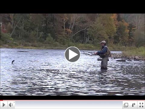 Jamie Schoonover on Pine Oct 14