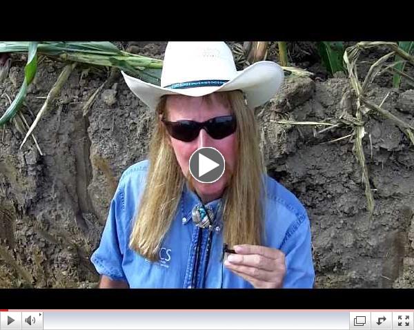 Frank Gibbs NRCS Resource Soil Scientist sharing from a root pit