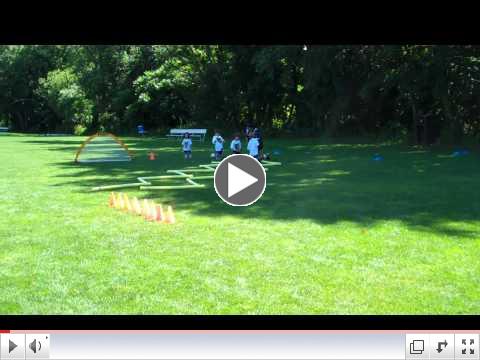 Tiger Kixx 2.5 to 3.5 years old