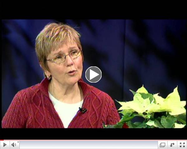 Eszter Vajda talks to Bridget Shaheen, Exec. Dir. Of the Lazarus House Ministries, about an extraordinary concept that helps people get out of poverty and get a job.