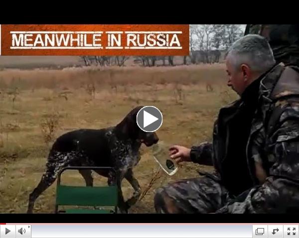 Hunting Dog Fetches Vodka