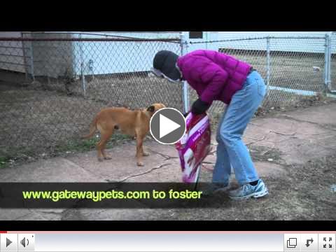 Please foster RaRa.  January 19, 2012.