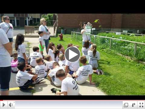Life Cycle of Butterfly / Il Ciclo Vitale delle Farfalle - Summer Camp, Day 11 - July 10, 2017 