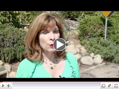 Sustainable Ventura February 2012 - 