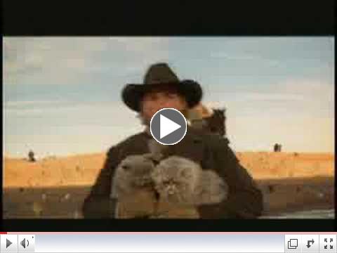 cowboys herding cats