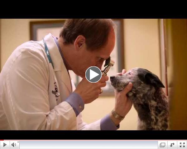 TVMA 2014 Outstanding Practitioner of the Year