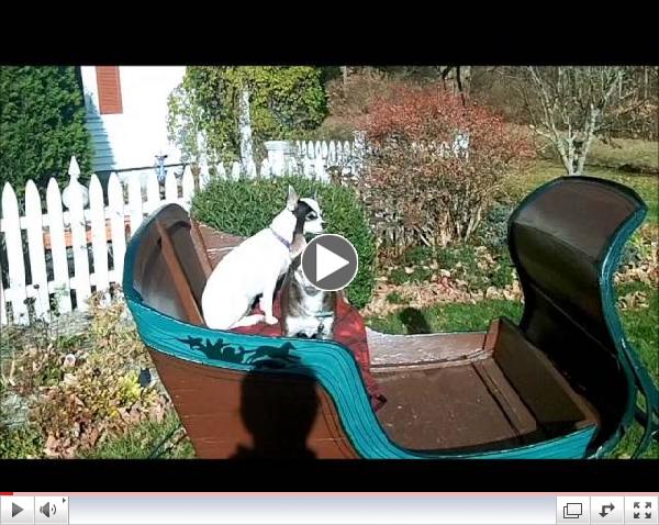 2012 Holiday Donation Video