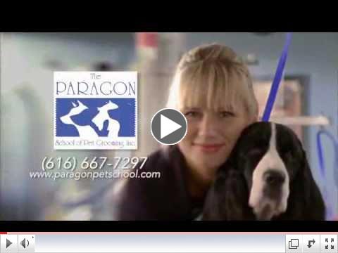 The Paragon School of Pet Grooming