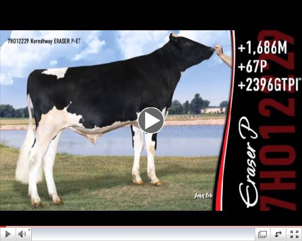 Select Sires Polled Genetics