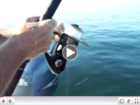 Tarpon Jumping at Bahia Honda Bridge Florida Keys May 11, 2011