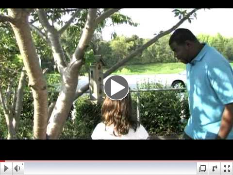 Language for Learning: Schoolagers