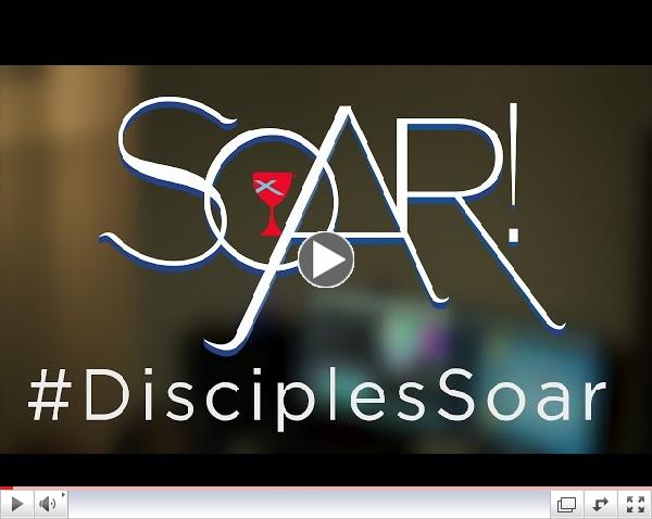 Reflections on Isaiah 40: Soar!
