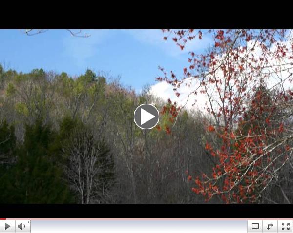 Cades Cove, First Week of Spring