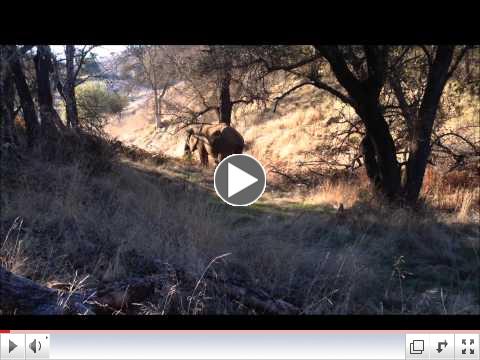 Iringa Explores Her Habitat