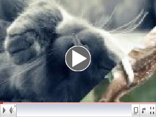 Abraham Hicks - About The Year 2012
