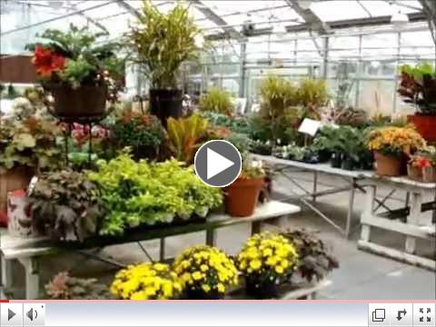 Fall Color and Fun at Hillermann's!