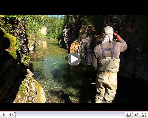 WILD & CLEAR - Fishing Montana's Backcountry