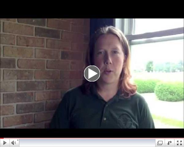 Equine Chiropractic: How do we decide where to adjust?