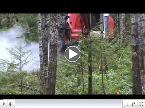 A short video showcasing Bill's skills as a feller buncher operator.
