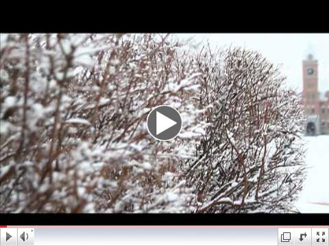 The President's Update 02/14/12