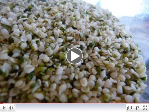 What are The Nutritional Benefits Hemp Seeds?