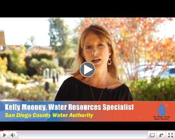 New eGuide Offers Tips, Tools, and Inspiration for WaterSmart Living