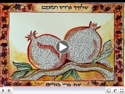 Special Rosh HaShanah Greeting from Rabbi Shapira