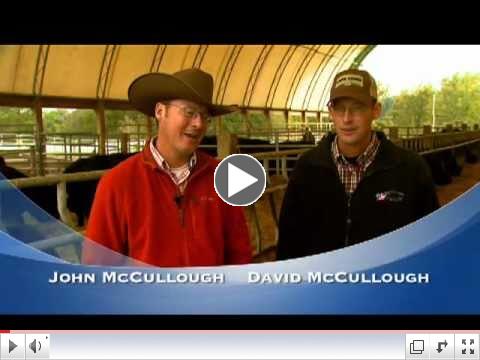 McCullough