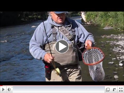 Dave's Alaskan Russian River Rainbow
