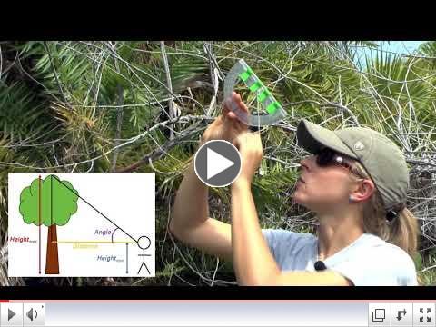 Coastal Habitat Assessment: Tools and Techniques