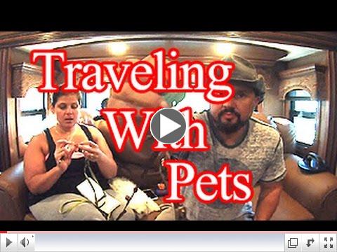 Traveling with pets