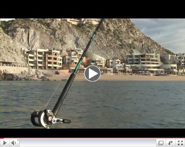 Fishing with Pochos Charters - Cooking our Catch at Pochos Restaurant, Cabo San Lucas