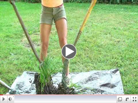 Tracy DiSabato-Aust - The Double Fork Method