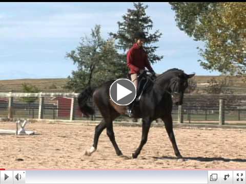 Fanfare FEI Prospect A/A Mind 