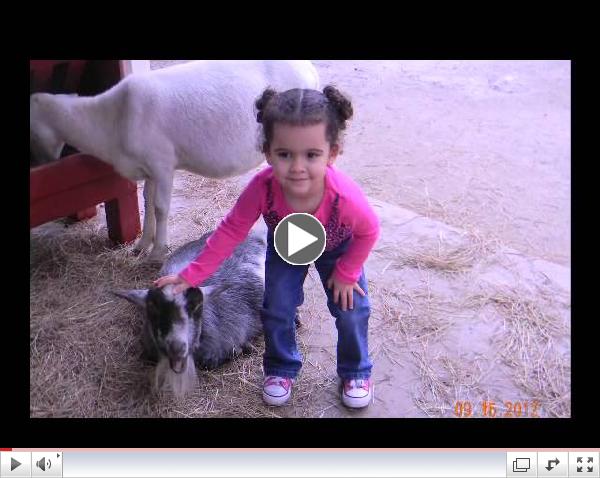 Exclusive Video: The Brown Family