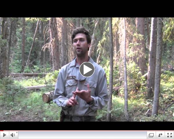 The 2012 Youth Conservation Program in Grand Teton National Park