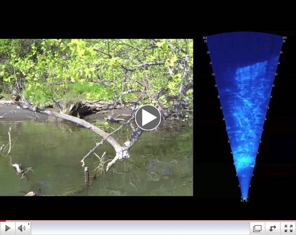ARIS Sonar Sacramento River 2014