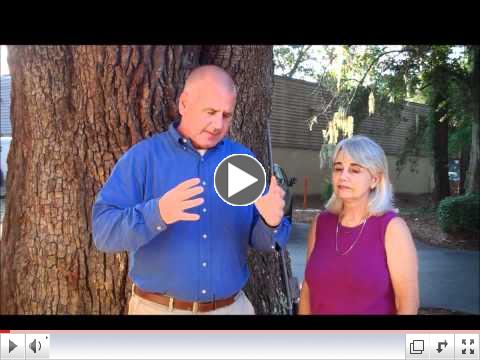 The Hilton Head Tree Story...Please hug your breathing buddies!