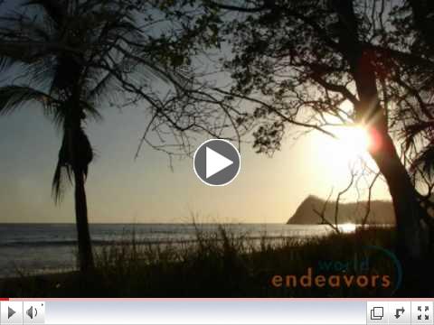 Sea Turtle Conservation in Costa Rica - World Endeavors Volunteer Abroad