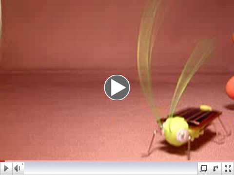 Solar Powered Frightened Grasshopper Robot