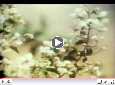 Ark II Opening Credits & Bumper
