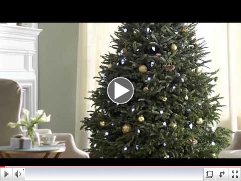 Caring for Your Fresh Cut Holiday Tree