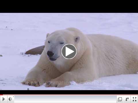 Polar Nirvana
