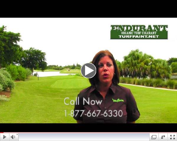 Endurant Turf Paint vs Overseeding